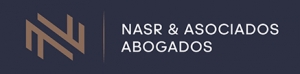 logo nasr footer
